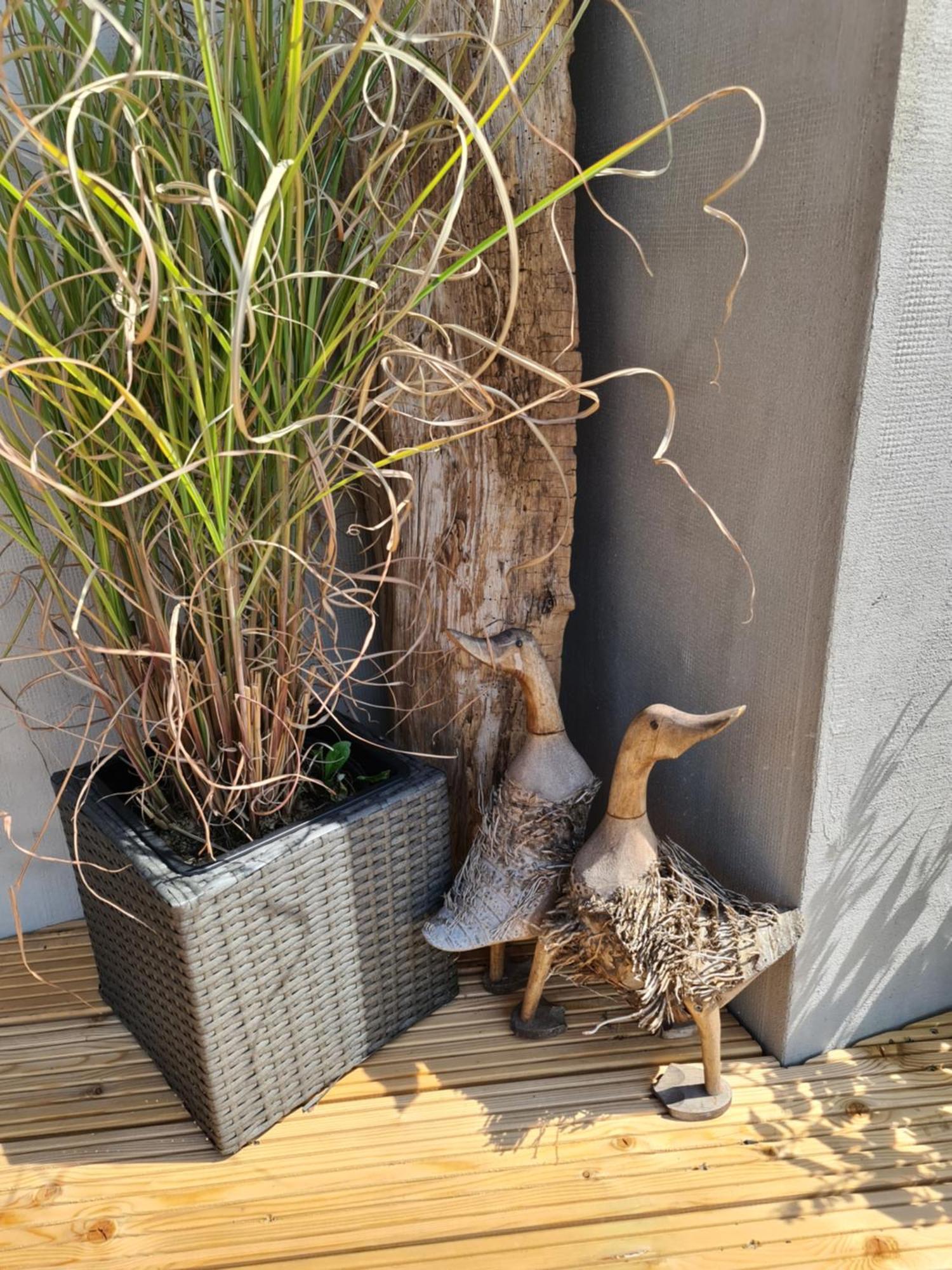 Ferienhaeuschen Auf Fehmarn Villa Buitenkant foto